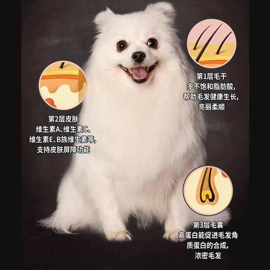 比瑞吉無谷六種肉全價(jià)犬糧（全期）