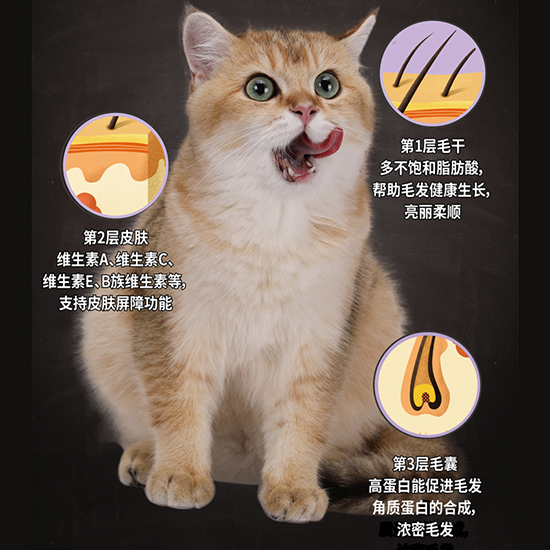 比瑞吉無谷六種魚全價貓糧（全期）