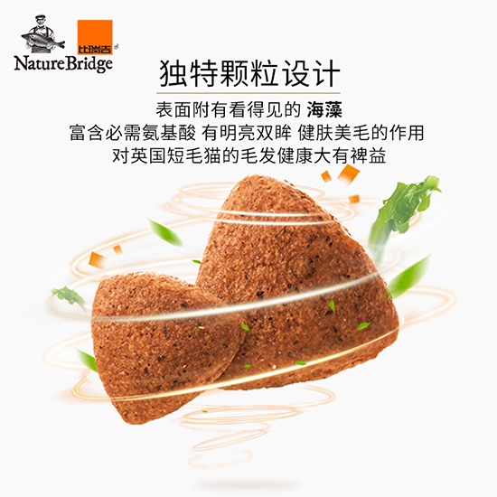 比瑞吉優(yōu)選全價(jià)英國(guó)短毛貓成年期貓糧