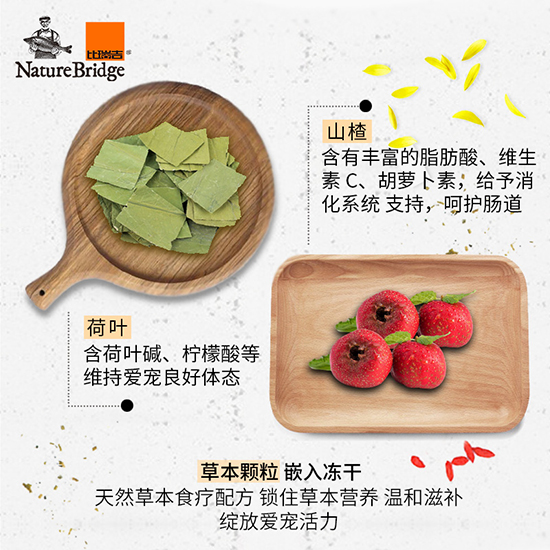 比瑞吉優(yōu)選全價(jià)美國短毛貓成年期貓糧